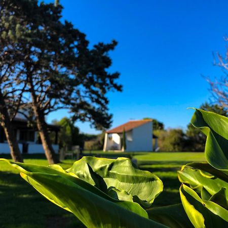 Mas Le Sauvageon Hotel Saintes-Maries-de-la-Mer Kültér fotó