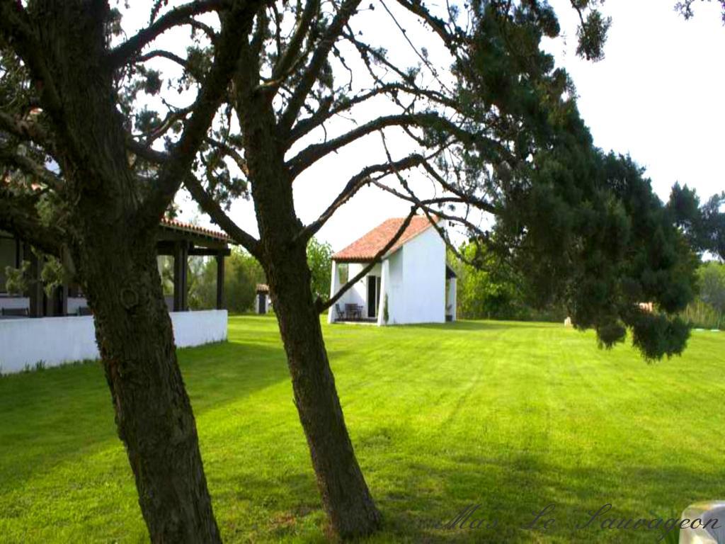 Mas Le Sauvageon Hotel Saintes-Maries-de-la-Mer Kültér fotó
