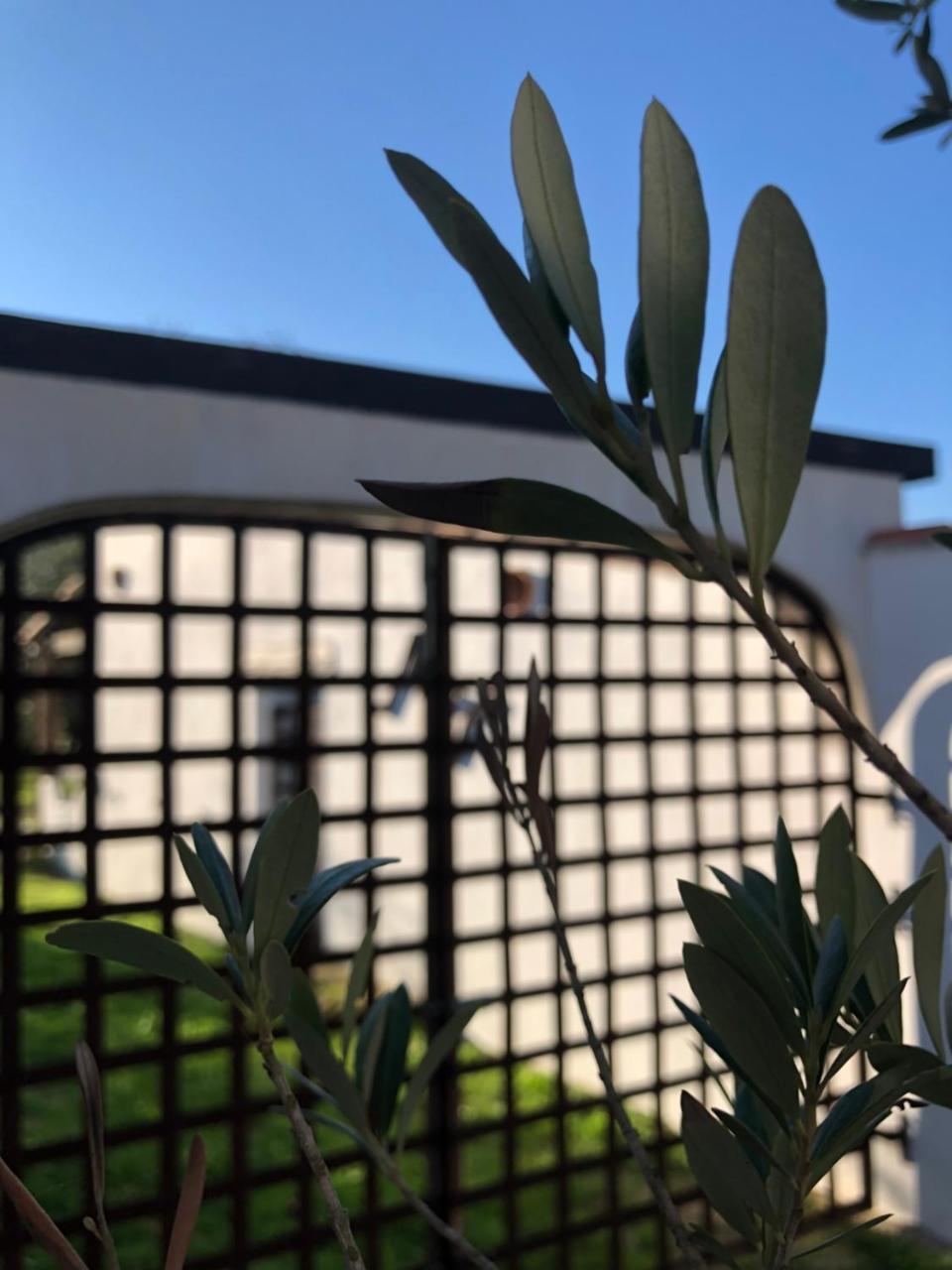 Mas Le Sauvageon Hotel Saintes-Maries-de-la-Mer Kültér fotó