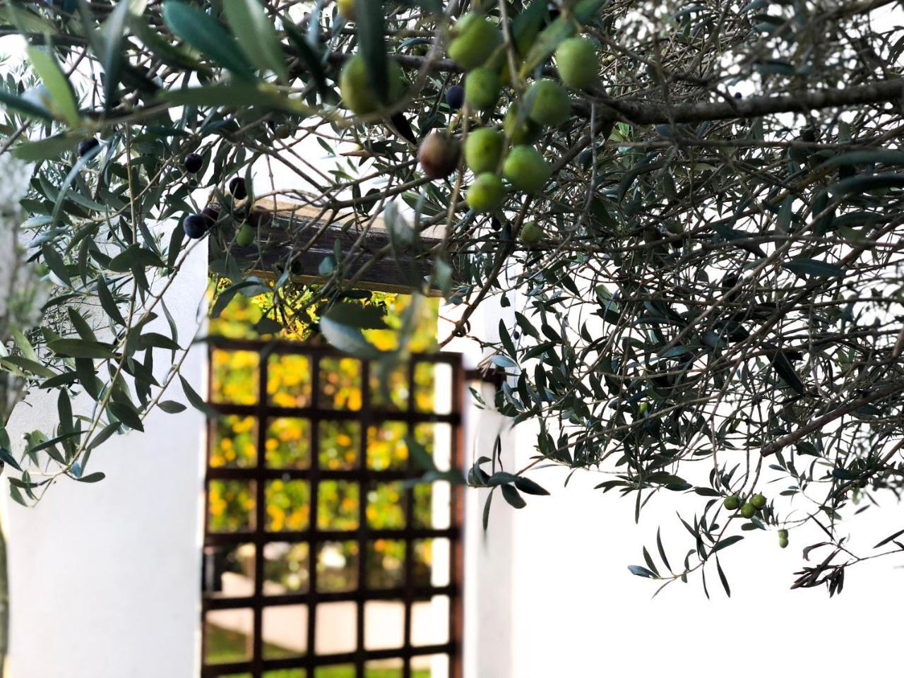 Mas Le Sauvageon Hotel Saintes-Maries-de-la-Mer Kültér fotó
