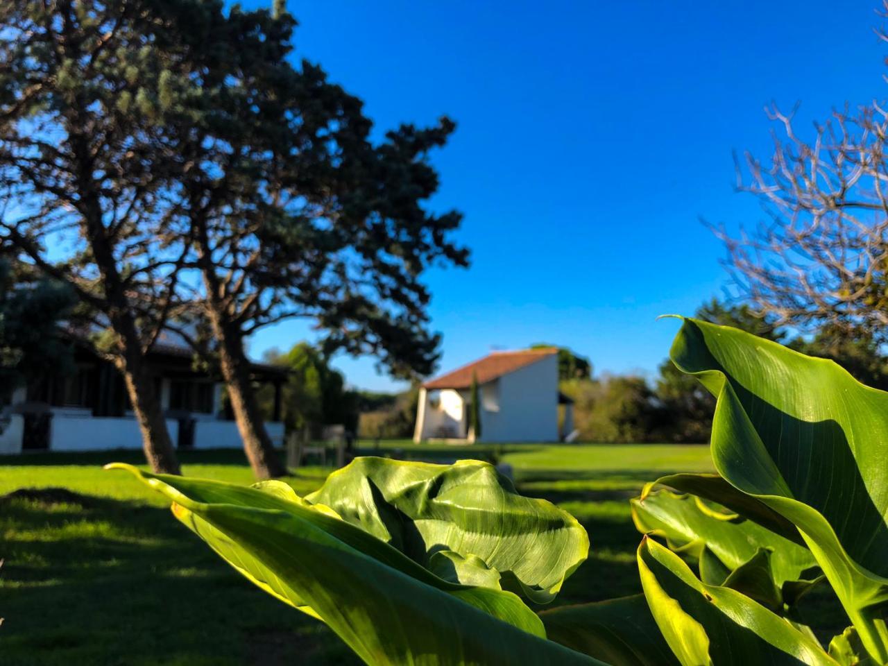 Mas Le Sauvageon Hotel Saintes-Maries-de-la-Mer Kültér fotó